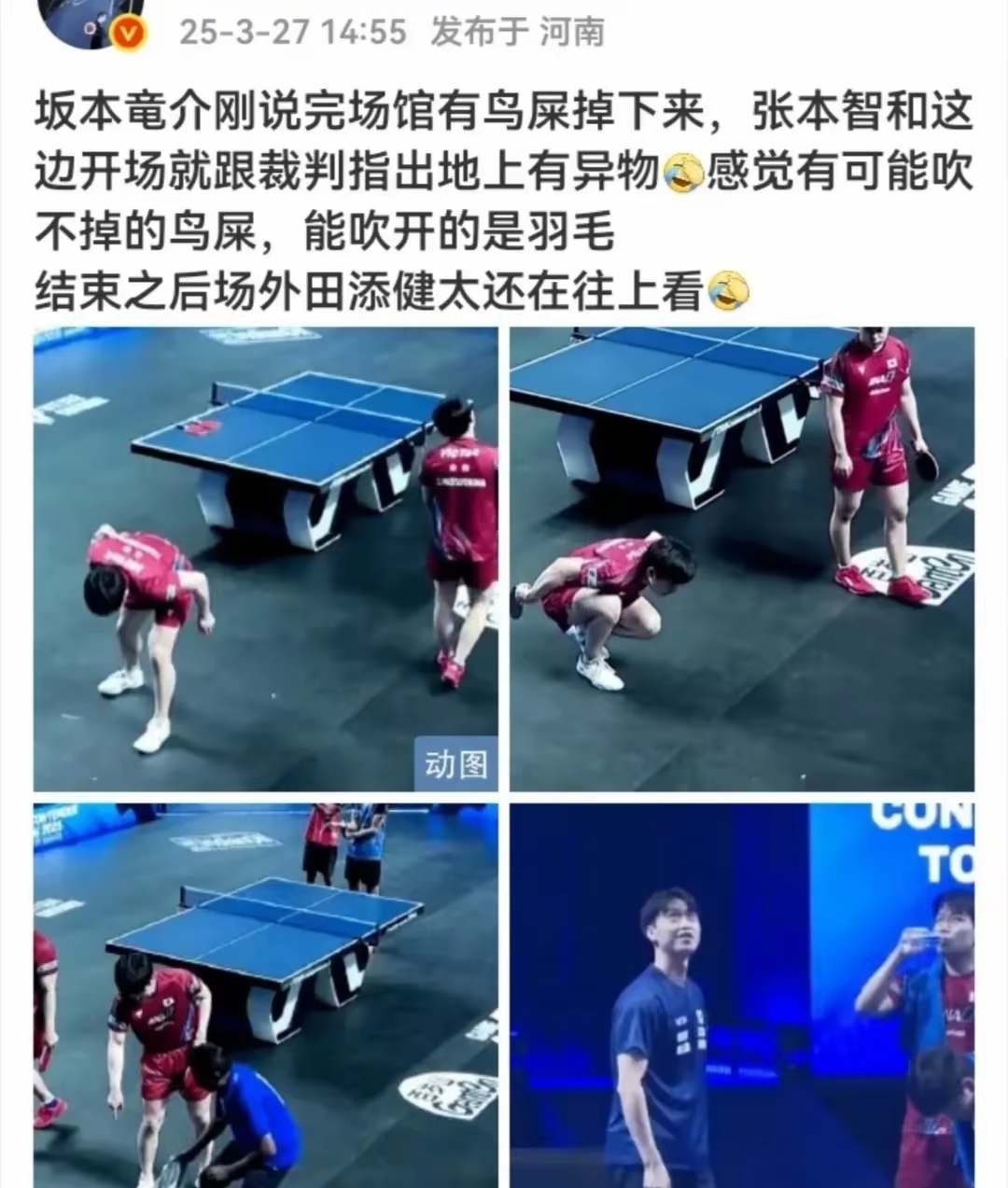 包含领先优势明显引发热议！，Ning在日本队比赛中重要助攻观众掌声雷动的词条